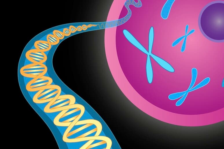 Il primo batterio “zombie” è vivo davvero: la biologia sintetica entra in un territorio che può cambiare farmaci e carburanti