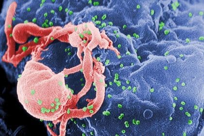 HIV, scoperto il “freno” nascosto nelle cellule: una proteina intrappola il virus