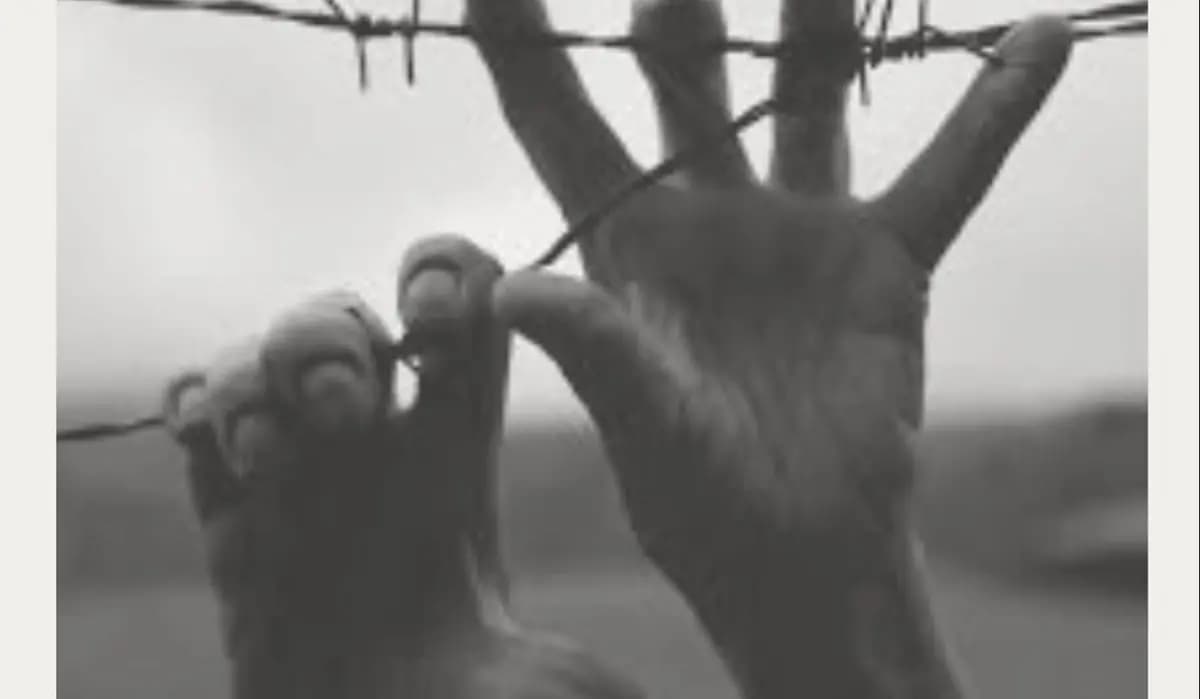 Cinquefrondi celebra “u villeri”: una piazzetta per custodire la memoria di chi ha fatto grande la comunità