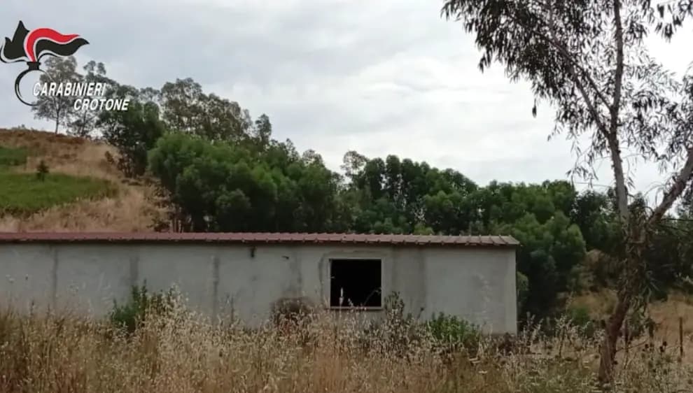 Roccabernarda, duro colpo alla cosca “Bagnato”: beni confiscati per oltre un milione e 90 terreni tornano ai proprietari