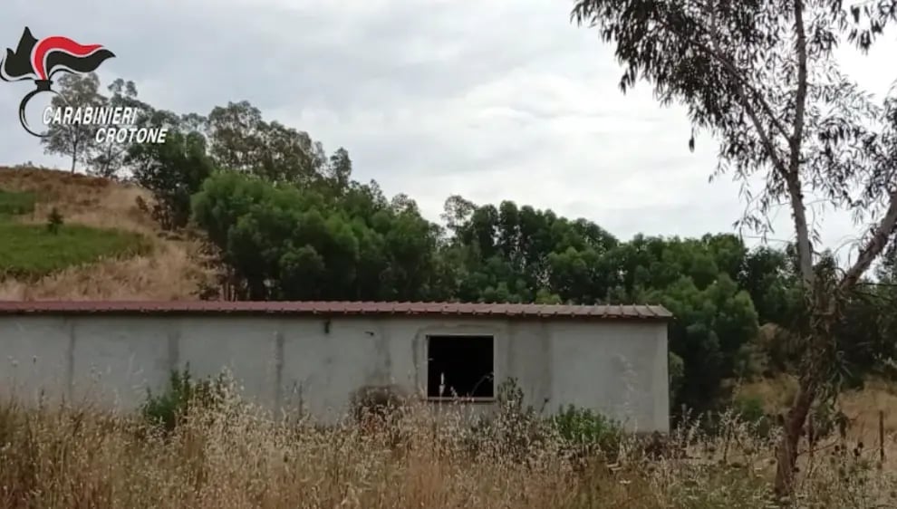 Roccabernarda, duro colpo alla cosca “Bagnato”: beni confiscati per oltre un milione e 90 terreni tornano ai proprietari