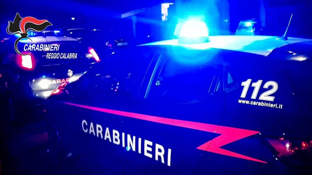 Controlli straordinari nella Piana di Gioia Tauro: denunce e sequestri per reati ambientali