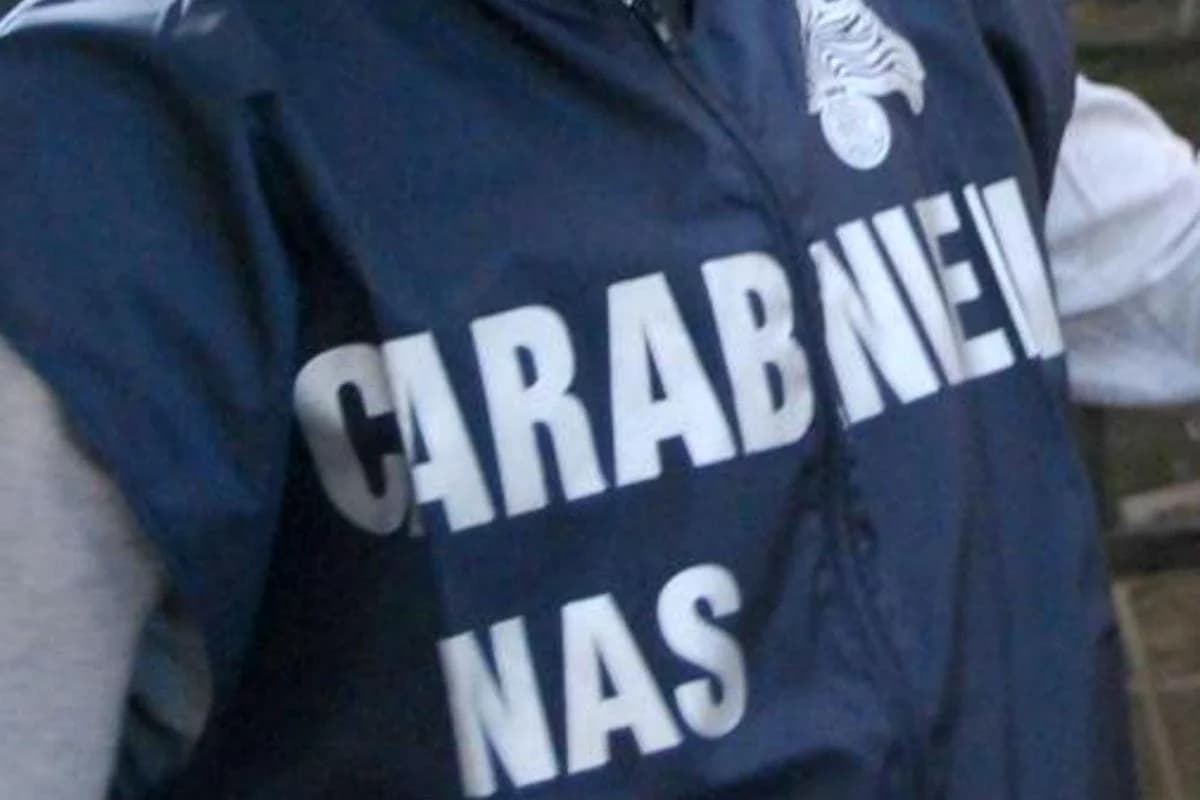 Circoncisione sul tavolo della cucina: neonato ferito, medico denunciato a Brescia