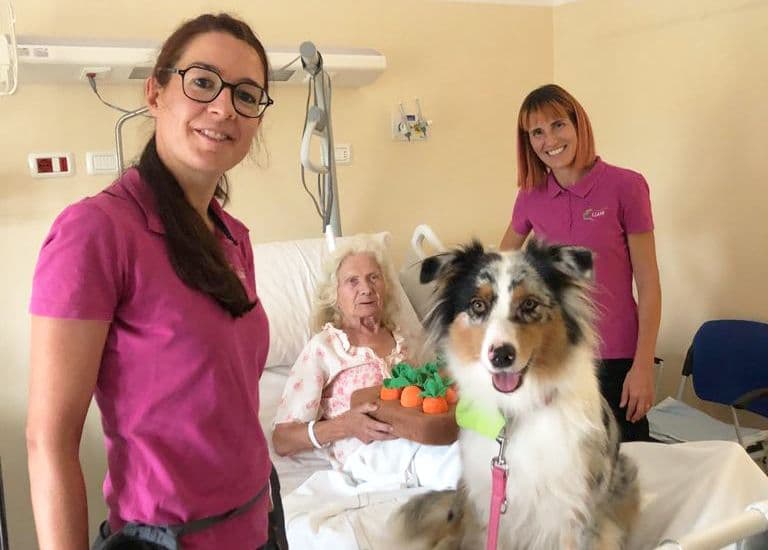 Oncologia “umana”: danza, libri e animali entrano nei reparti per curare anche la qualità di vita