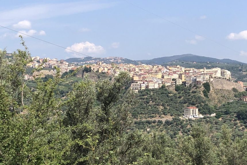 Regione approva graduatoria per investimenti in infrastrutture agricole e sviluppo rurale: aPetilia Policastro 150 mila euro