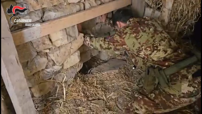 PLATÌ (RC). SCOPERTA PIANTAGIONE “INDOOR” IN UN BUNKER SOTTERRANEO