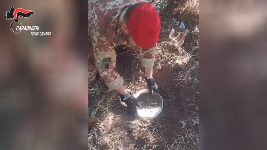GIOIOSA IONICA (RC). AVEVA SOTTERRATO DECINE DI CHILI DI STUPEFACENTE NELLE CAMPAGNE: UN ARRESTO