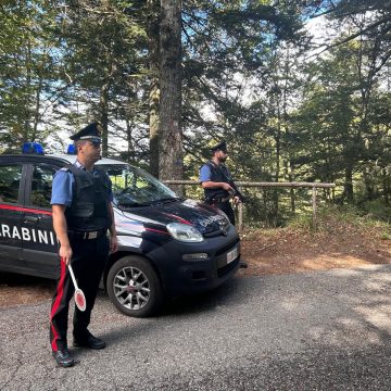 SANTO STEFANO IN ASPROMONTE (RC). CONTROLLI STRAORDINARI DEI CARABINIERI.