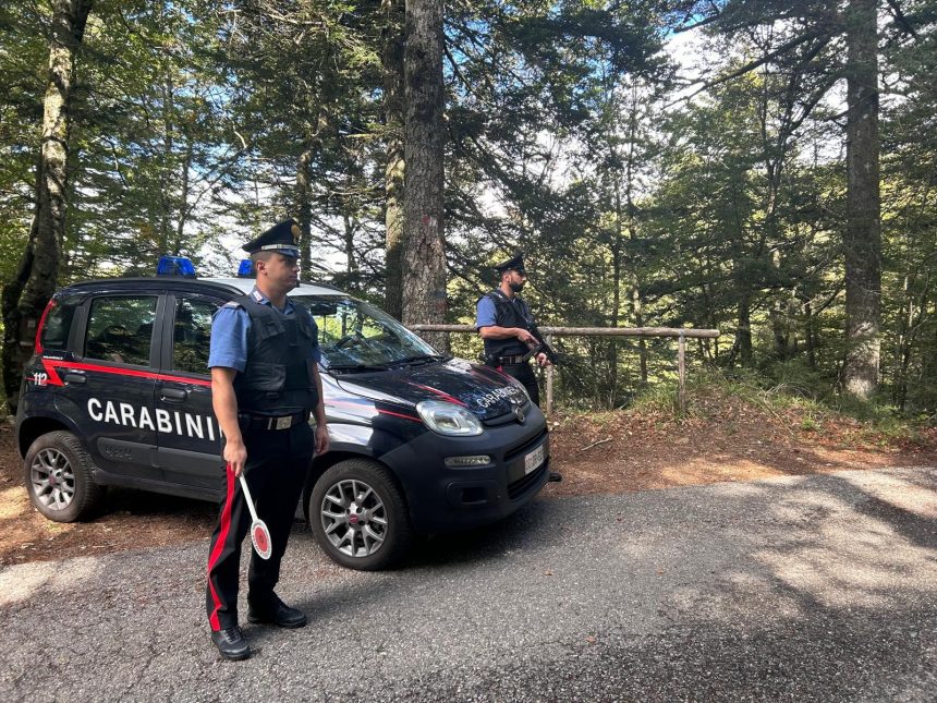 SANTO STEFANO IN ASPROMONTE (RC). CONTROLLI STRAORDINARI DEI CARABINIERI.
