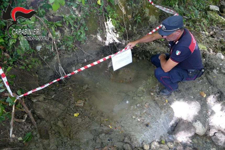 Falconara Albanese. Scarico abusivo nel Torrente Peschiera, sequestri e denunce dei Carabinieri Forestale